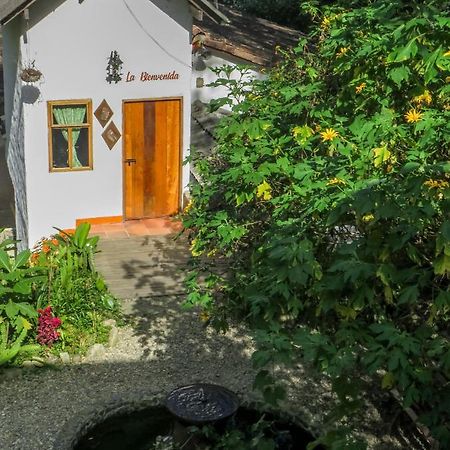 Finca Los Abuelos - La Planta Concepcion Eksteriør billede