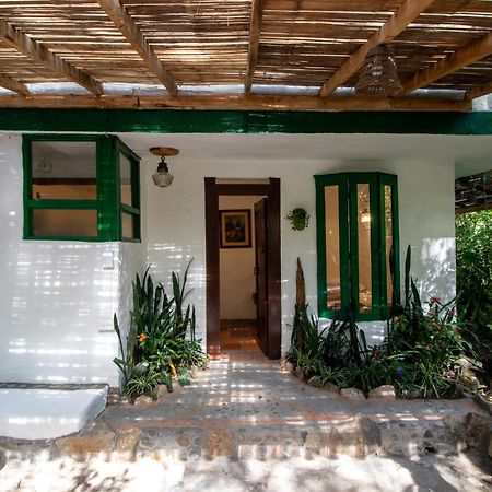 Finca Los Abuelos - La Planta Concepcion Eksteriør billede