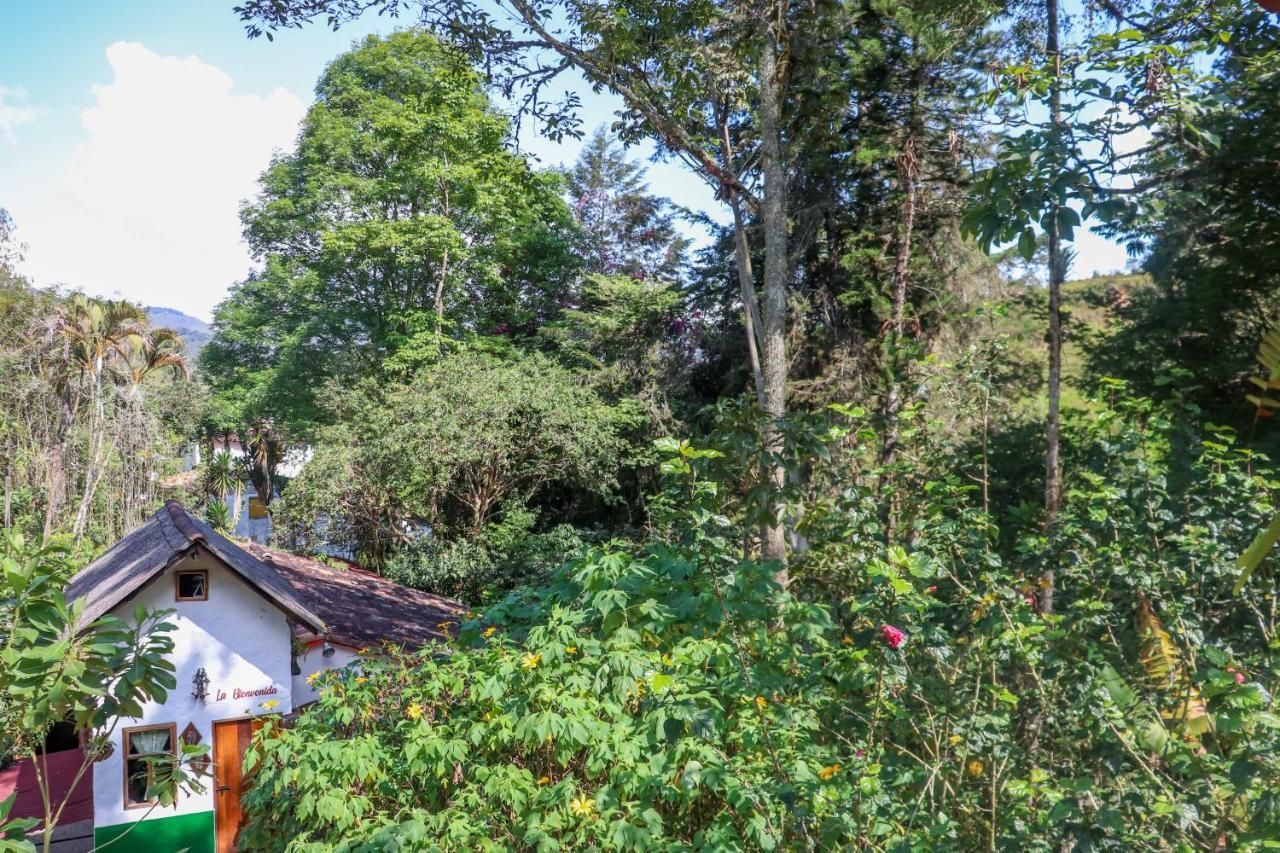 Finca Los Abuelos - La Planta Concepcion Eksteriør billede