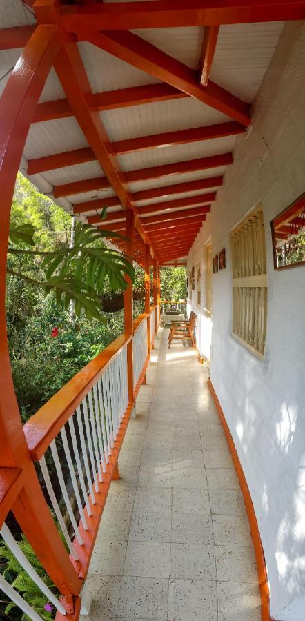 Finca Los Abuelos - La Planta Concepcion Eksteriør billede
