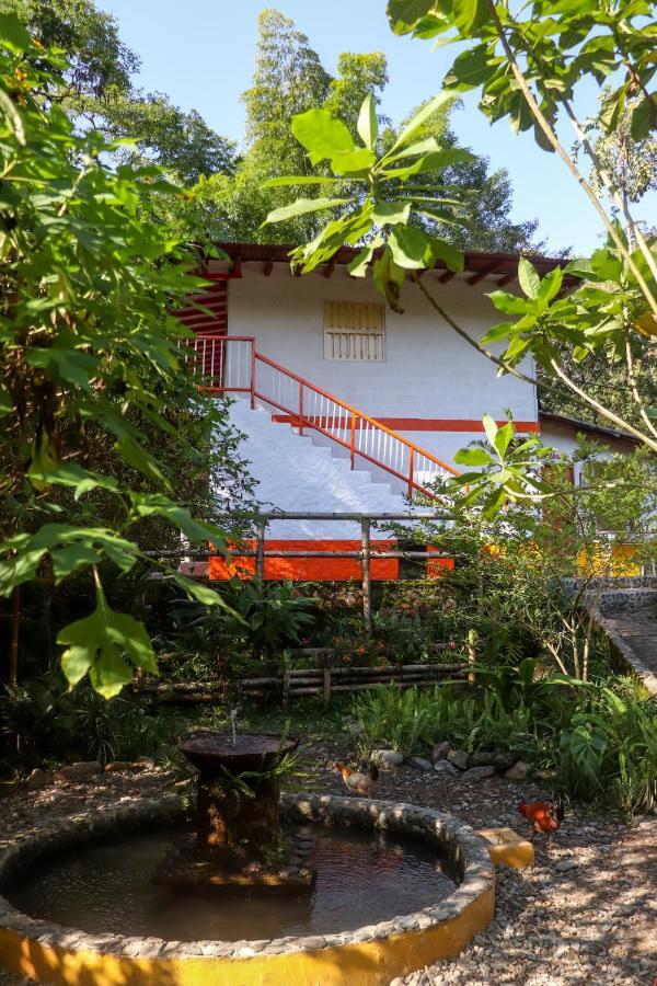Finca Los Abuelos - La Planta Concepcion Eksteriør billede