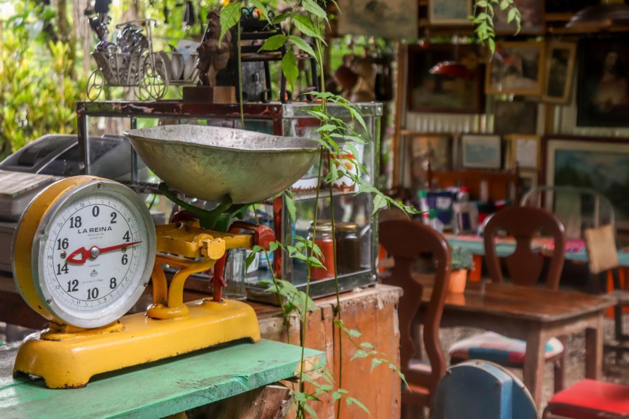 Finca Los Abuelos - La Planta Concepcion Eksteriør billede