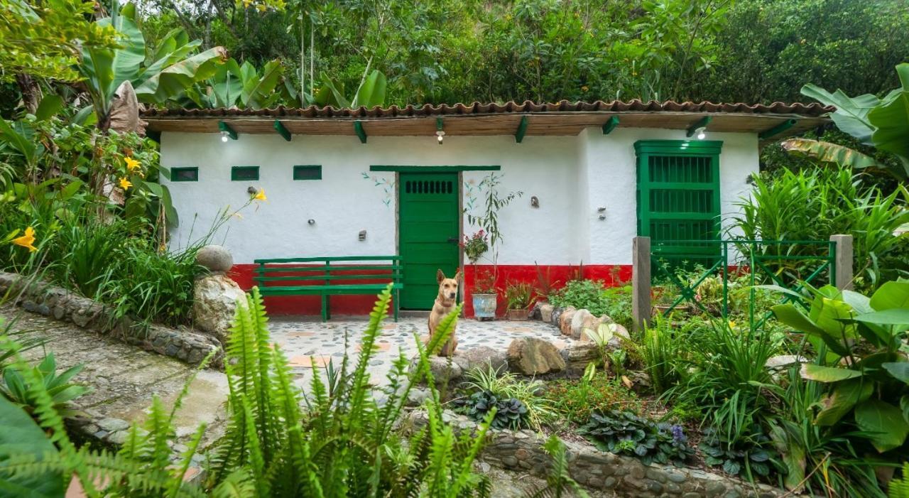Finca Los Abuelos - La Planta Concepcion Eksteriør billede