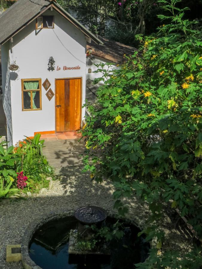 Finca Los Abuelos - La Planta Concepcion Eksteriør billede